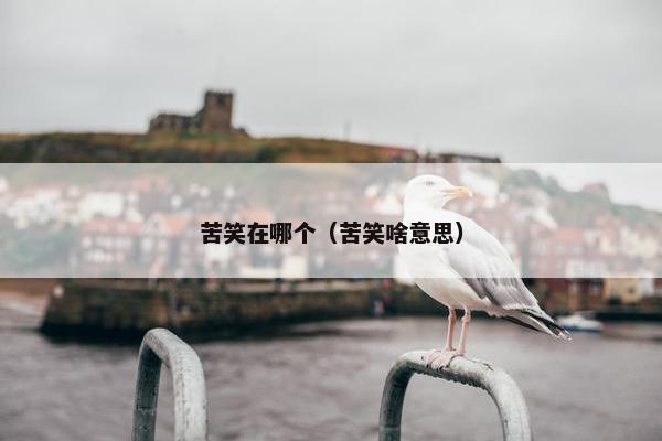 苦笑在哪个（苦笑啥意思）