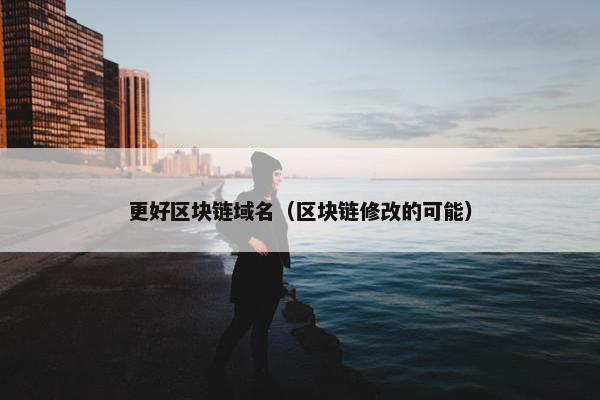 更好区块链域名（区块链修改的可能）