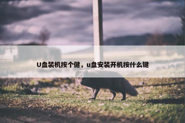 U盘装机按个健，u盘安装开机按什么键
