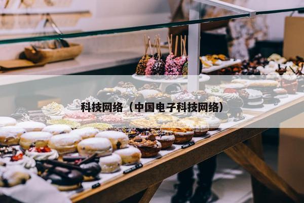 科技网络（中国电子科技网络）