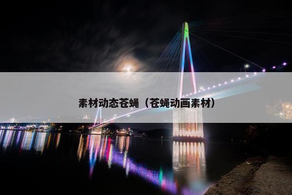 素材动态苍蝇（苍蝇动画素材）