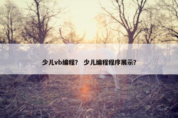 少儿vb编程？ 少儿编程程序展示？