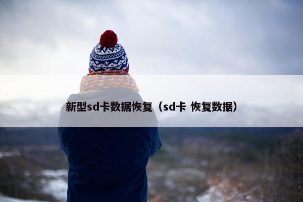 新型sd卡数据恢复（sd卡 恢复数据）