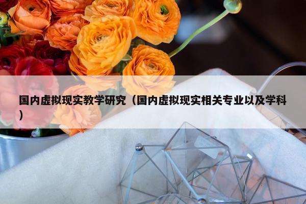 国内虚拟现实教学研究（国内虚拟现实相关专业以及学科）