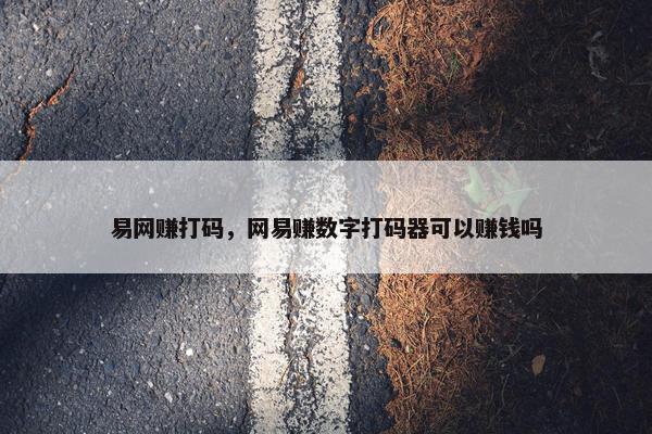 易网赚打码，网易赚数字打码器可以赚钱吗