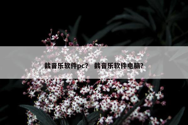 截音乐软件pc？ 截音乐软件电脑？