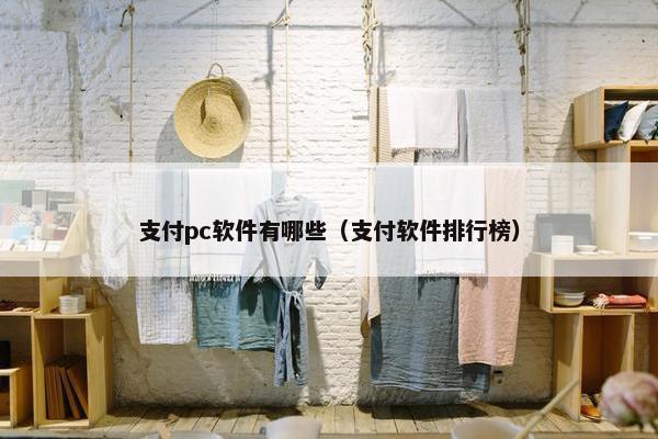 支付pc软件有哪些（支付软件排行榜）