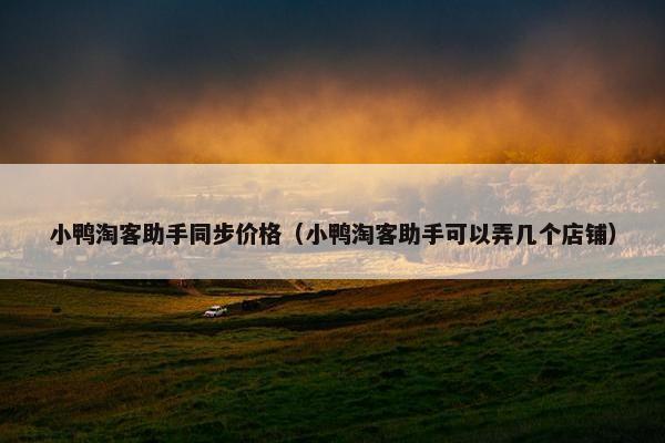 小鸭淘客助手同步价格（小鸭淘客助手可以弄几个店铺）