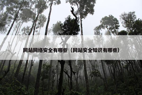 网站网络安全有哪些（网站安全知识有哪些）