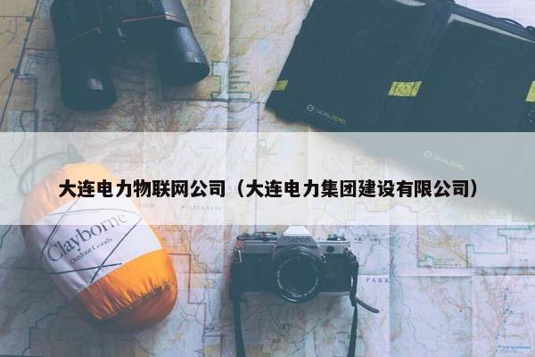 大连电力物联网公司（大连电力集团建设有限公司）