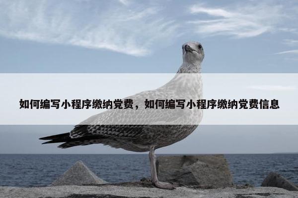 如何编写小程序缴纳党费，如何编写小程序缴纳党费信息