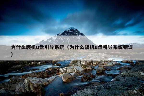 为什么装机u盘引导系统（为什么装机u盘引导系统错误）