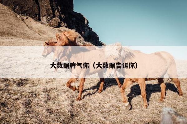 大数据脾气你（大数据告诉你）