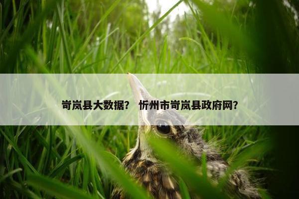 岢岚县大数据？ 忻州市岢岚县政府网？