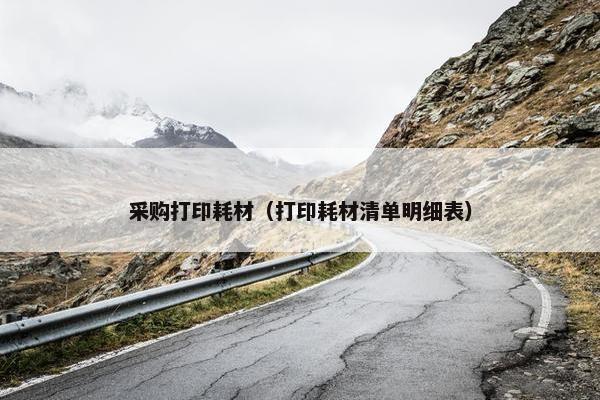 采购打印耗材（打印耗材清单明细表）