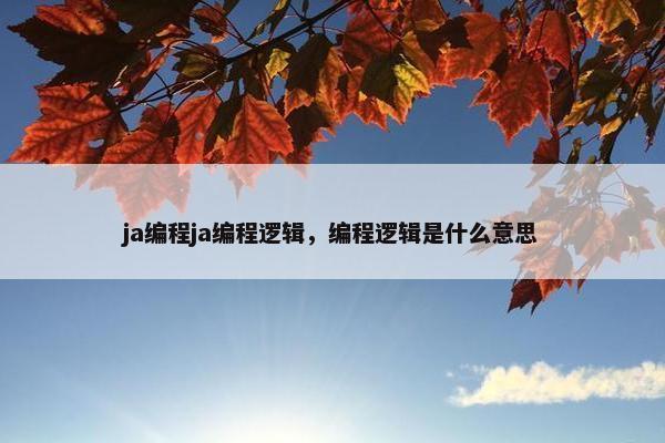 ja编程ja编程逻辑，编程逻辑是什么意思