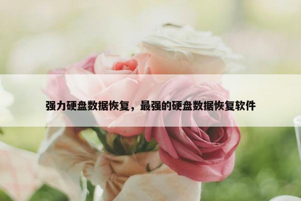 强力硬盘数据恢复，最强的硬盘数据恢复软件