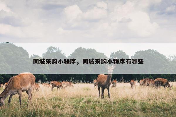 同城采购小程序，同城采购小程序有哪些