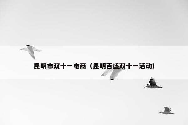昆明市双十一电商（昆明百盛双十一活动）