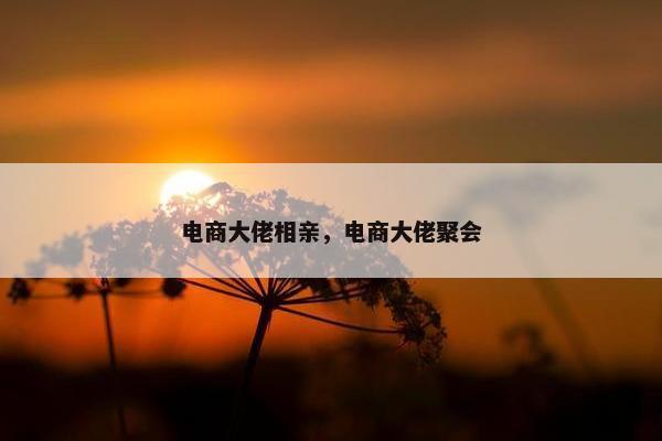电商大佬相亲，电商大佬聚会