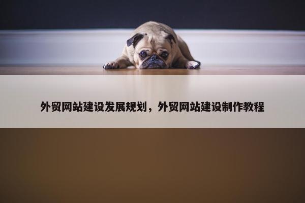 外贸网站建设发展规划，外贸网站建设制作教程