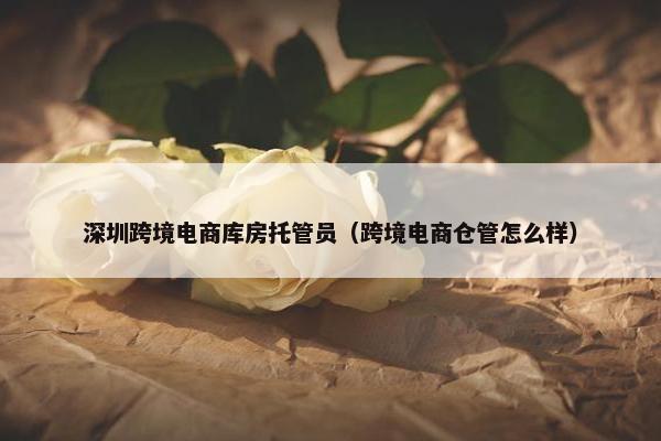 深圳跨境电商库房托管员（跨境电商仓管怎么样）