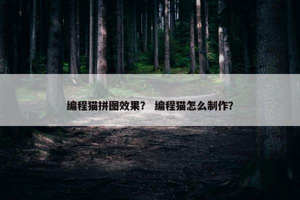 编程猫拼图效果？ 编程猫怎么制作？