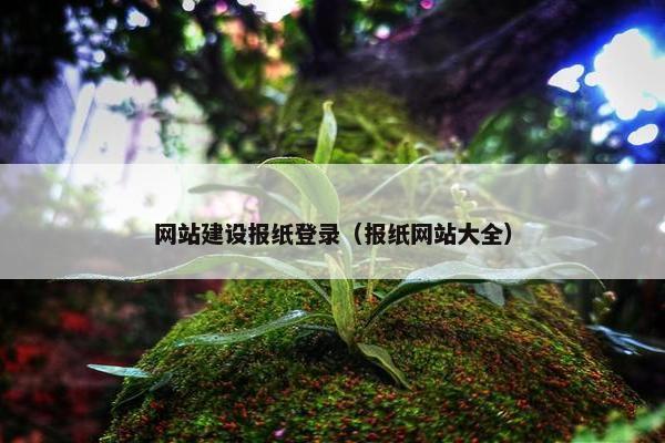 网站建设报纸登录（报纸网站大全）