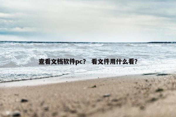 查看文档软件pc？ 看文件用什么看？