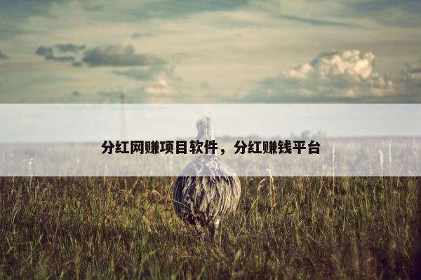 分红网赚项目软件，分红赚钱平台