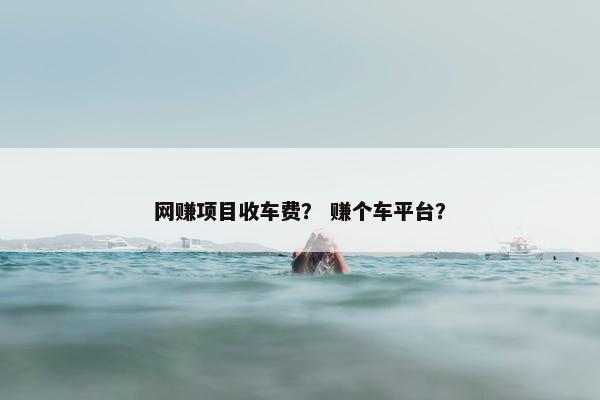 网赚项目收车费？ 赚个车平台？