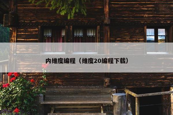 内维度编程（维度20编程下载）