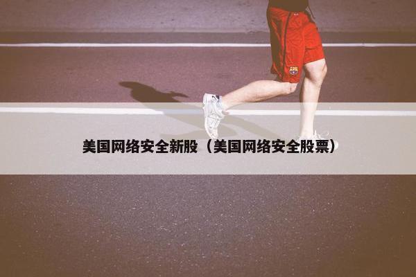 美国网络安全新股（美国网络安全股票）