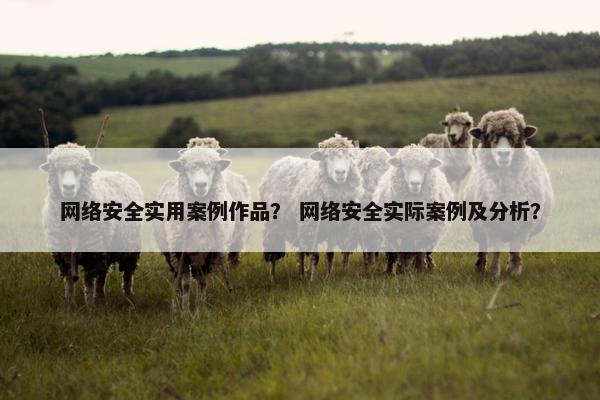 网络安全实用案例作品？ 网络安全实际案例及分析？