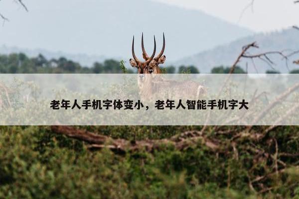老年人手机字体变小，老年人智能手机字大
