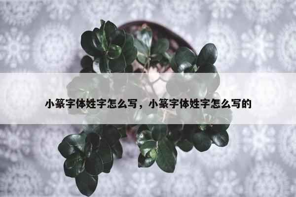小篆字体姓字怎么写，小篆字体姓字怎么写的