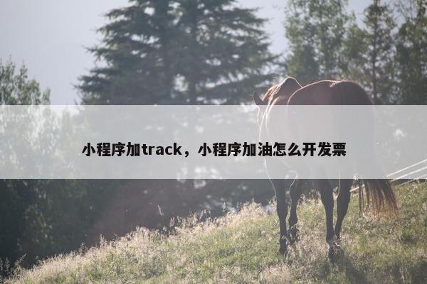 小程序加track，小程序加油怎么开发票