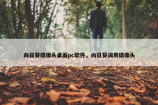 向日葵摄像头桌面pc软件，向日葵调用摄像头
