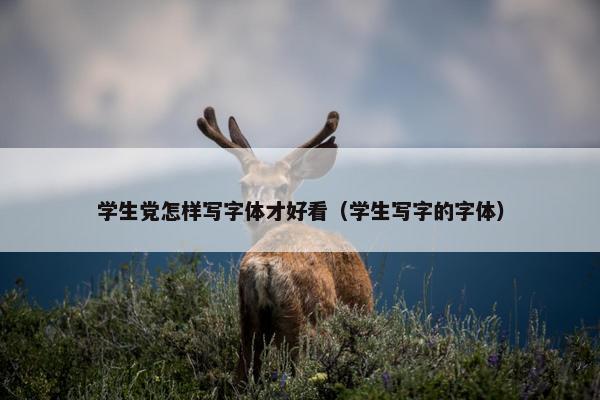 学生党怎样写字体才好看（学生写字的字体）