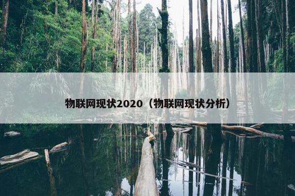 物联网现状2020（物联网现状分析）