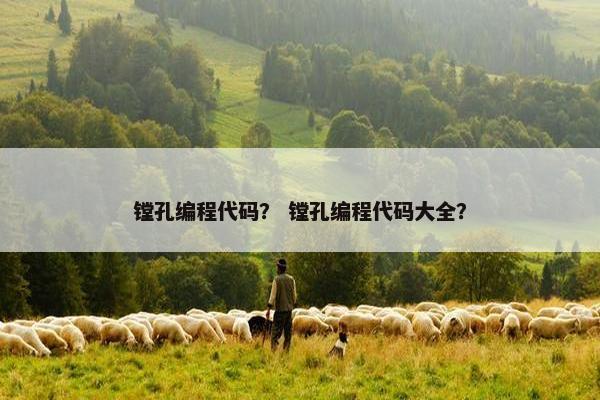 镗孔编程代码？ 镗孔编程代码大全？
