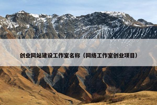 创业网站建设工作室名称（网络工作室创业项目）