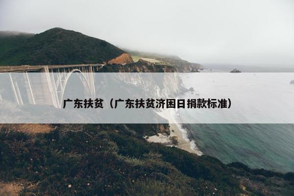 广东扶贫（广东扶贫济困日捐款标准）