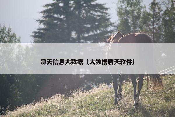 聊天信息大数据（大数据聊天软件）