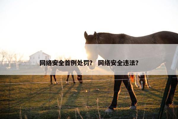 网络安全首例处罚？ 网络安全违法？