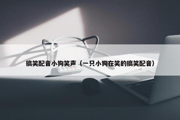 搞笑配音小狗笑声（一只小狗在笑的搞笑配音）