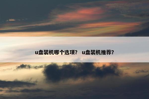 u盘装机哪个选项？ u盘装机推荐？