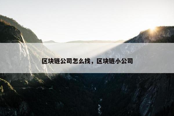 区块链公司怎么找，区块链小公司
