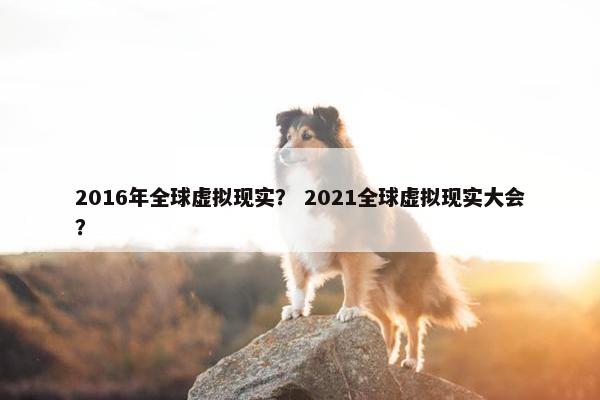 2016年全球虚拟现实？ 2021全球虚拟现实大会？