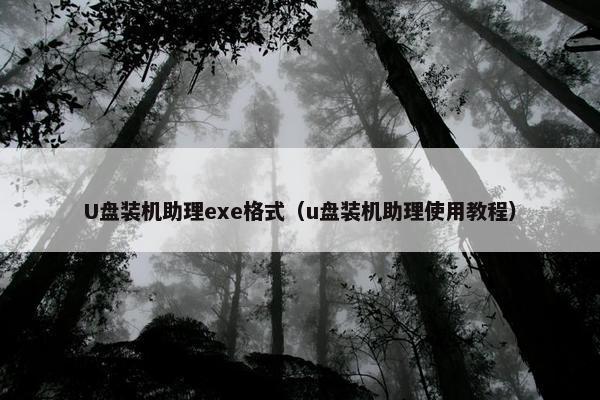 U盘装机助理exe格式（u盘装机助理使用教程）